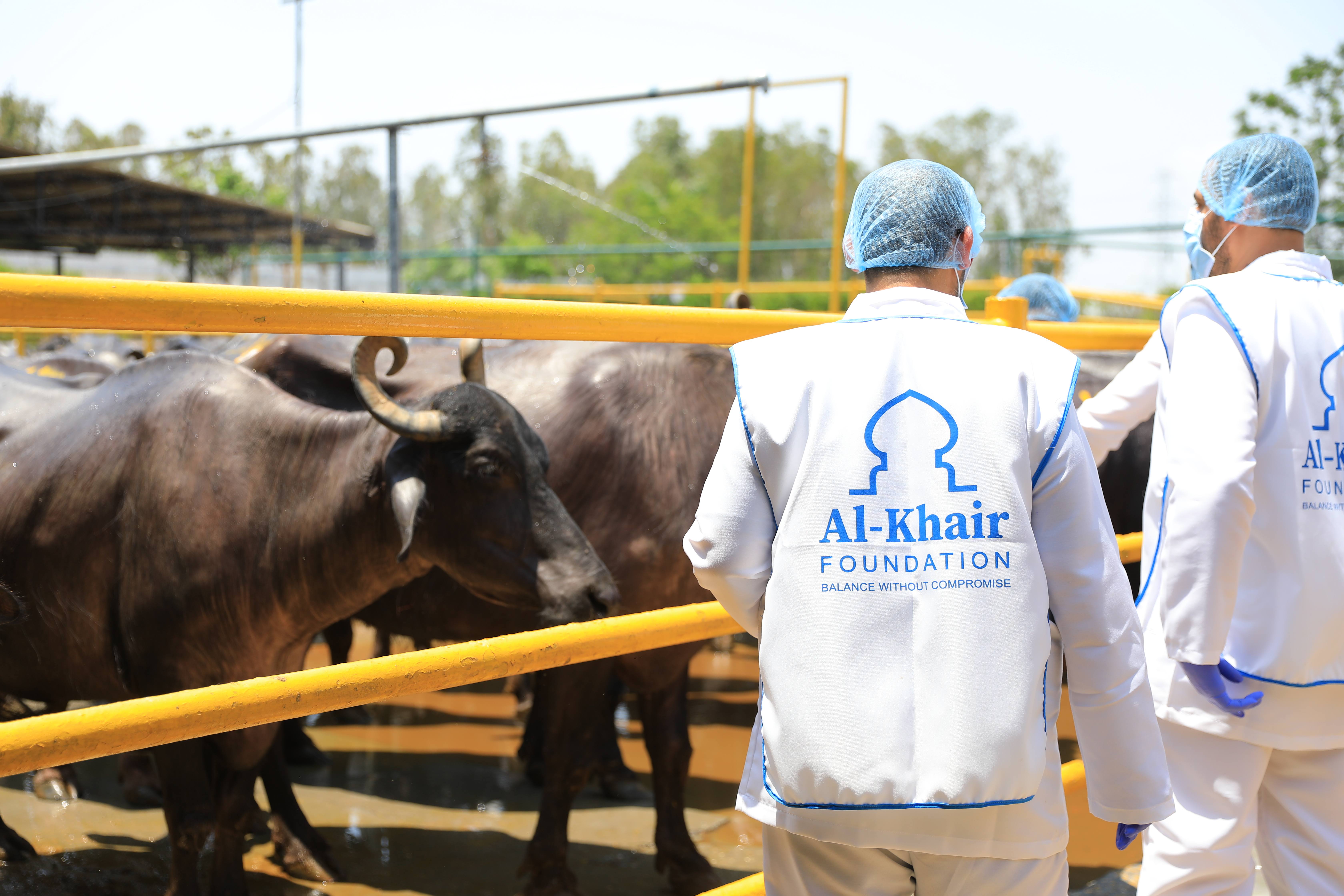 When Sacrifice Becomes Mercy: The True Meaning of Udhiya